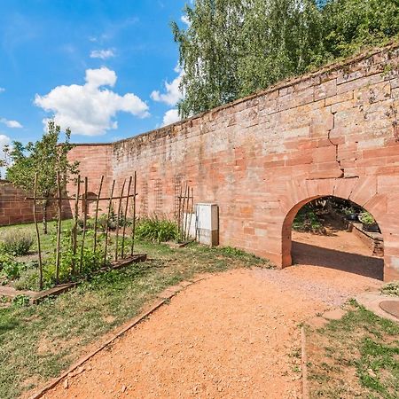 Havre De Paix Au Pied Du Chateau Et Des Remparts La Petite-Pierre Eksteriør bilde
